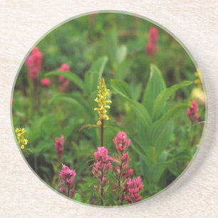 Posavasos Flores silvestres de verano envían un alboroto de 