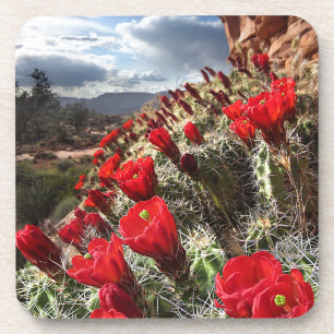 Posavasos Flores silvestres - Gran Cañón - Arizona