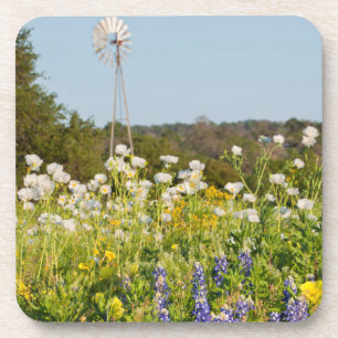 Posavasos Flores silvestres y molino de viento en Texas Hill