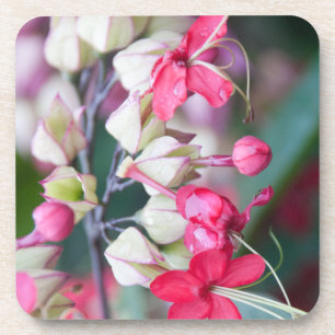 Posavasos Flores tropicales rojas y blancas