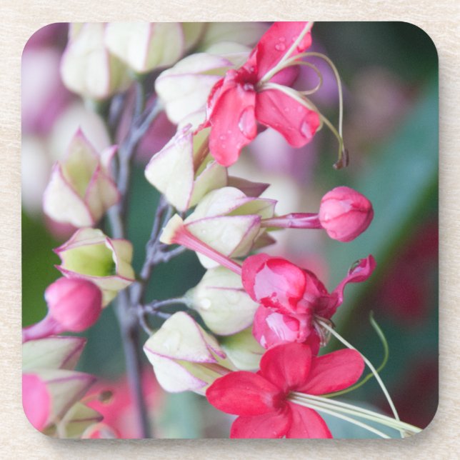 Posavasos Flores tropicales rojas y blancas (Frente)
