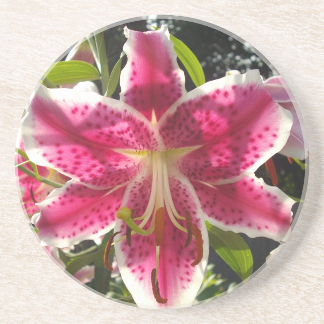 Posavasos Flores tropicales rosas lirios rosas florales rosa (Frente)