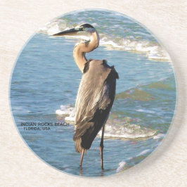 Posavasos Florida Beach Great Blue Heron Bird Nature Foto