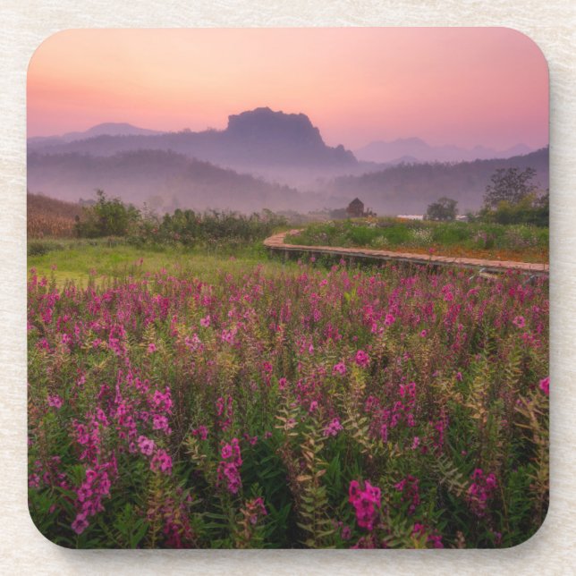 Posavasos Flowers | Chiang Dao, Chiang Mai, Thailand (Frente)