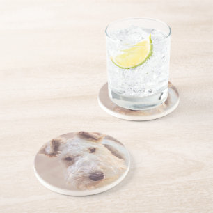 Posavasos Fluffy Airedale Welsh Terrish Tipo Perro Cachorro