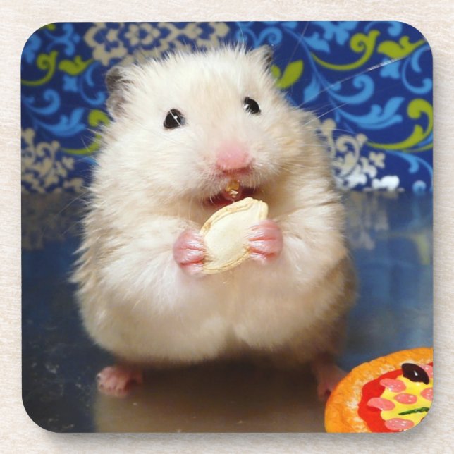 Posavasos Fluffy Syrian Hamster Kokolinka (Frente)