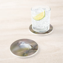 Flycatcher sonriente de ceniza en rama de espino d