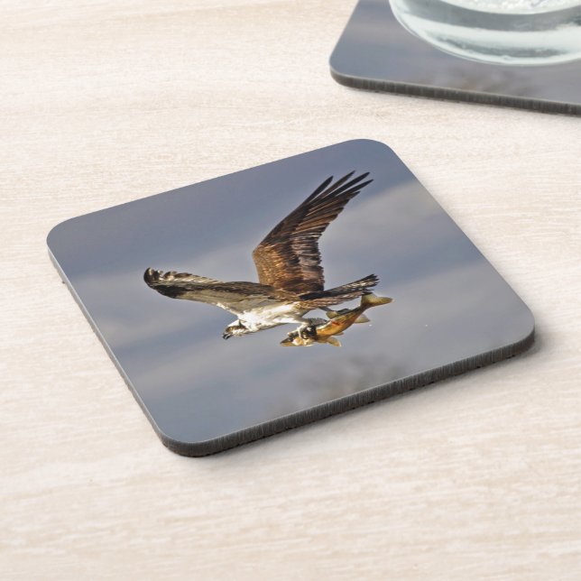 Posavasos Flying Osprey con Walleye Fish HDR Foto (Lado Izquierdo)