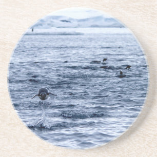 Posavasos Flying penguin