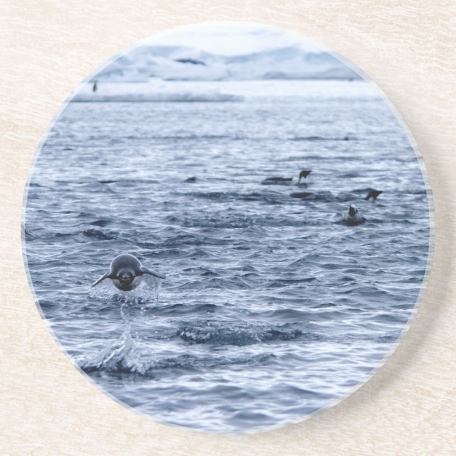 Posavasos Flying penguin (Frente)
