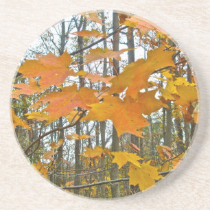 Posavasos Foliage de arce de otoño