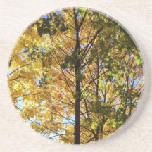 Follaje de otoño amarillo y verde
