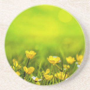Posavasos Fondo de las flores de primavera