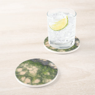 Posavasos Formación de roca de arenisca con musgo esmeralda