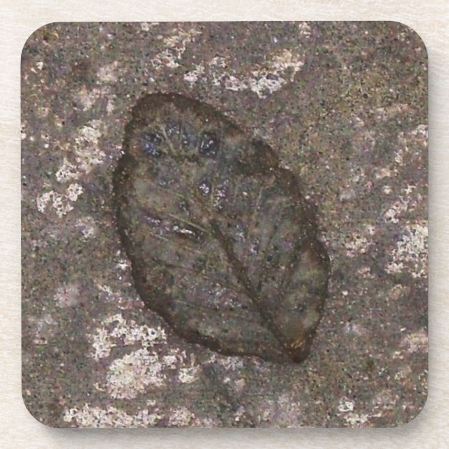 Posavasos Fósil de hoja (Frente)