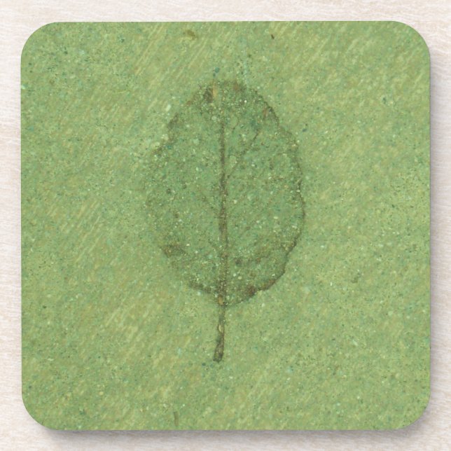 Posavasos Fósil de hoja (Frente)