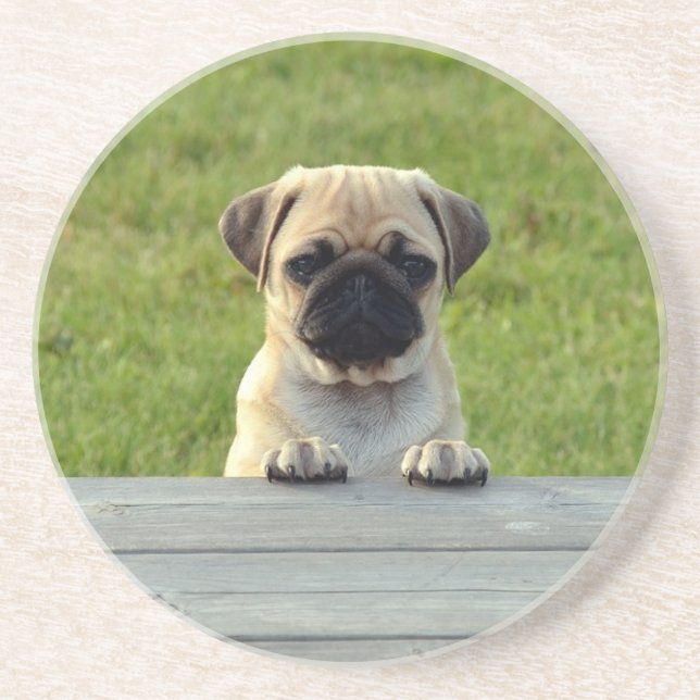 Posavasos Foto adorable de cachorro Pug (Frente)
