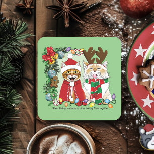 Posavasos Foto anual de Navidades gatos
