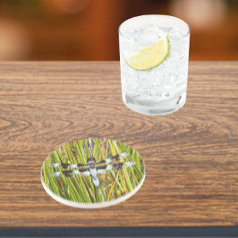 Posavasos Foto común del Skimmer Dragonfly