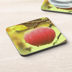 Posavasos Foto Cute "Red Apple". ¡Hazte con una en Zazzle