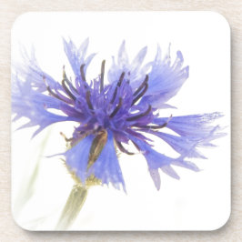 Posavasos Foto de Blue Cornflower -