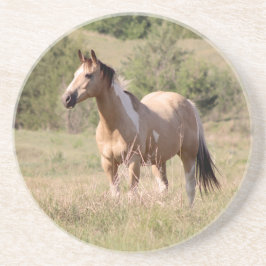Posavasos Foto de caballo Tobiano Buckskin posando en el pra