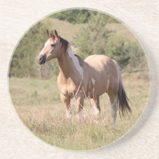Posavasos Foto de caballo Tobiano Buckskin posando en el pra