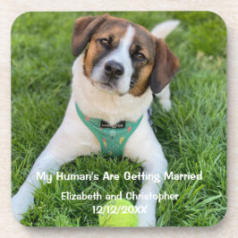 Posavasos Foto de compromiso casada de mi ser humano