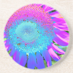 Posavasos Foto de girasol retro rosa azul