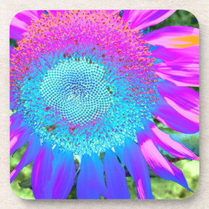 Posavasos Foto de girasol retro rosa azul