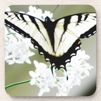 Posavasos Foto de mariposa de cola Swallowtail de tigre orie