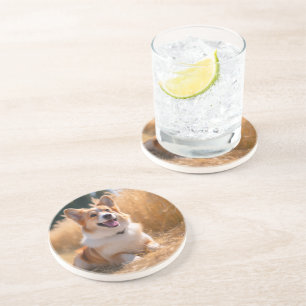 Posavasos Foto de Mascota Personalizada