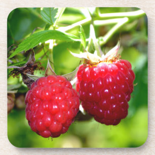 Posavasos Foto de moras frescas frambuesas fruta
