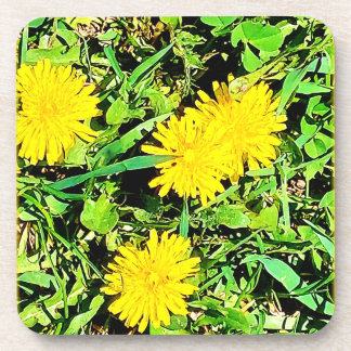 Posavasos Foto de Mountain Dandelions. ¡Hazte con una en Zaz