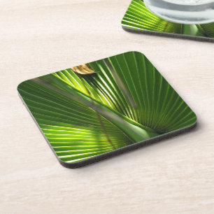 Posavasos Foto de primer plano de Saw Palmetto