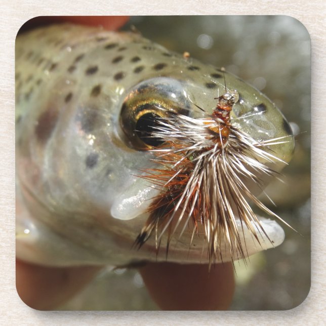 Posavasos Foto de Rainbow Trout (Frente)