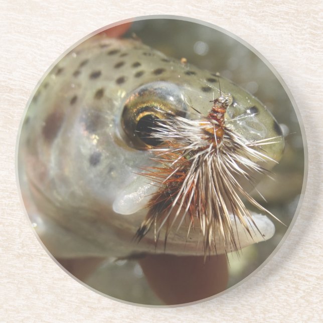 Posavasos Foto de Rainbow Trout (Frente)