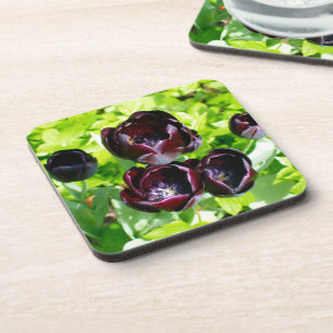 Posavasos Foto de tulipanes holandeses morados verdes negros