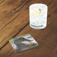 Foto Natural Mallard Duck Hen