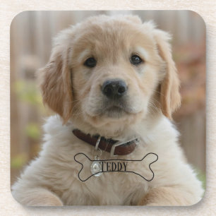 POSAVASOS FOTO NOMBRE HUESO MEJOR MAMÁ PAPÁ PERRO CACHORRO D