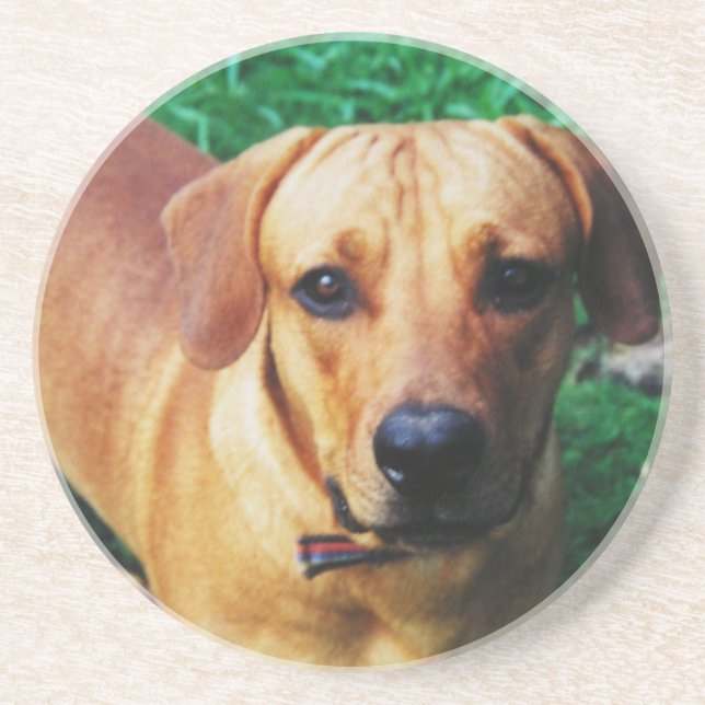 Posavasos Foto personalizada de Personalizado redondo (Frente)