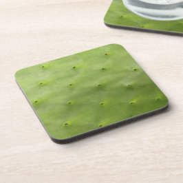 Posavasos Foto verde tropical botánica del cactus
