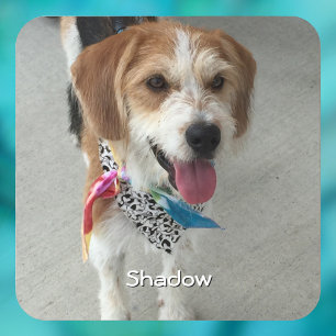 Posavasos Foto y nombre del mascota