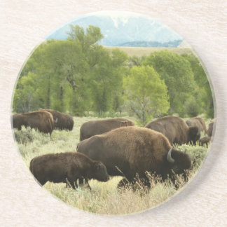 Posavasos Fotografía de animales de la naturaleza de Wyoming