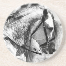 Fotografía de arte blanco y negro en caballos