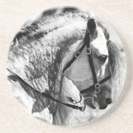 Posavasos Fotografía de arte blanco y negro en caballos