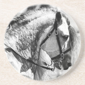 Posavasos Fotografía de arte blanco y negro en caballos
