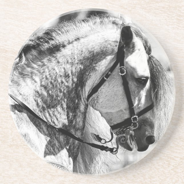 Posavasos Fotografía de arte blanco y negro en caballos (Frente)