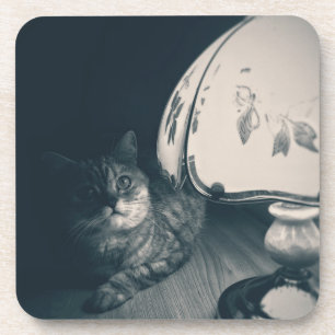 Posavasos Fotografía de estilo de ruido de gatos y lámparas