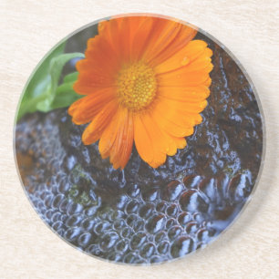 Posavasos Fotografía de Flor de Marigold